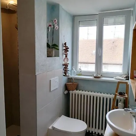 Joli Maison Avec Jardin, A 10mn A Pied Du Centre Historique Casa vacanze Colmar