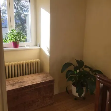 Joli Maison Avec Jardin, A 10mn A Pied Du Centre Historique Casa vacanze *